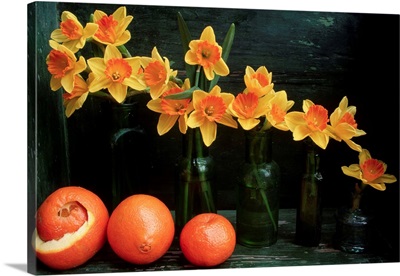 Arrangement Of Daffodils And Oranges