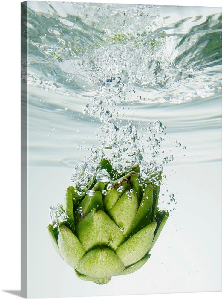 Artichoke In Water