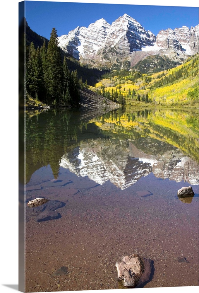 Aspens Reflecting In Lake Under Maroon Bells, Colorado