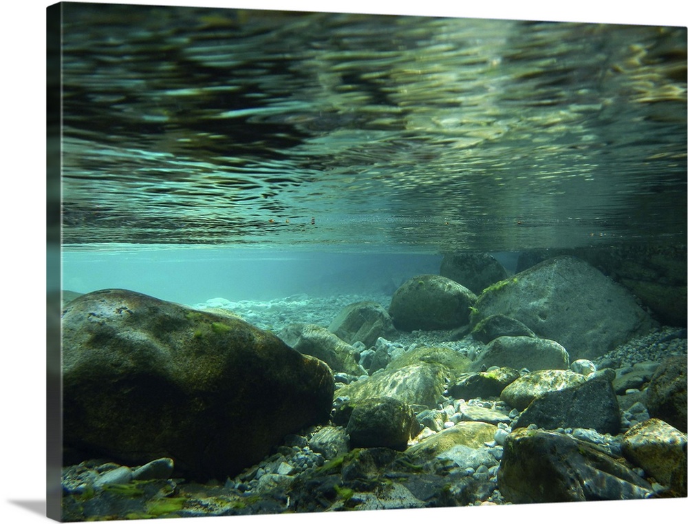 Coral reef in underwater at Atera river.