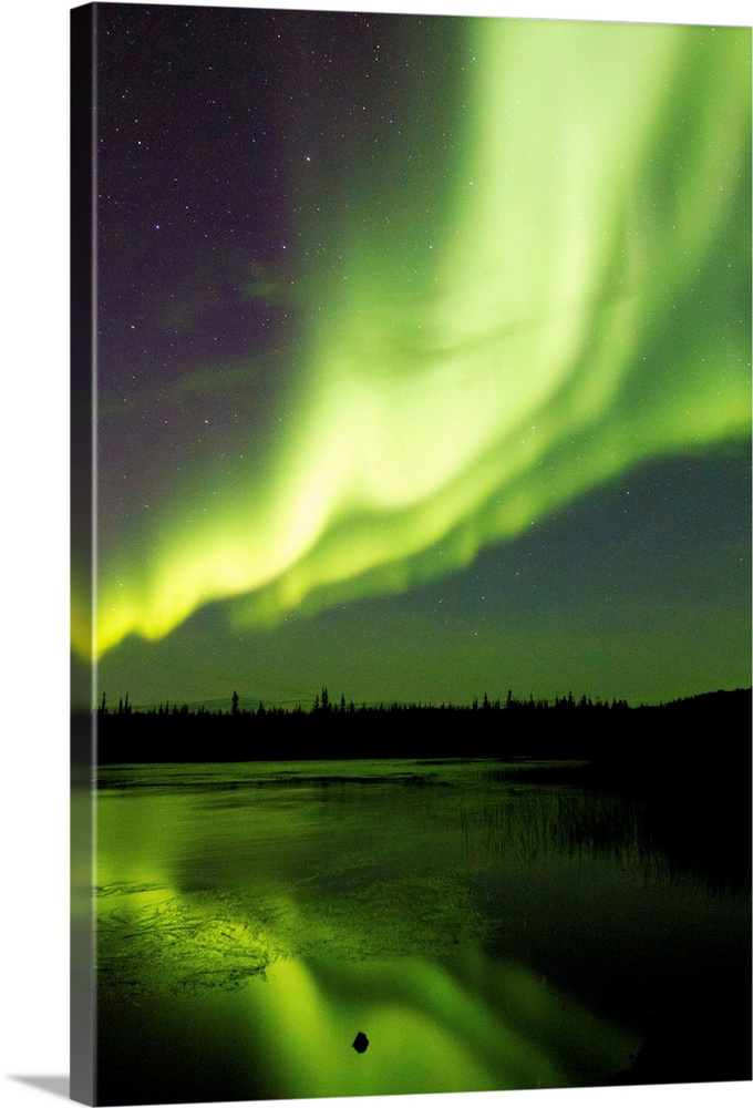 Aurora borealis (northern lights) dance above Prosperous Lake outside of Yellowknife, Canada in early fall with silhouette...