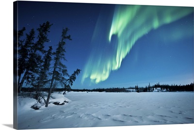 Aurora with silhouette of trees over Walsh Lake, Northwest Territories, Canada.