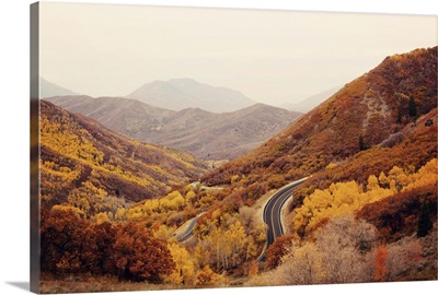 Autumn colored trees along mountain road.