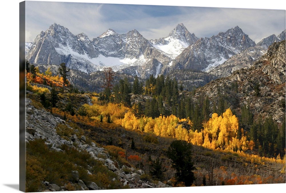 Autumn in the high Sierra, Inyo County near Bishop, California.  Taken from the road to Sabrina Lake.