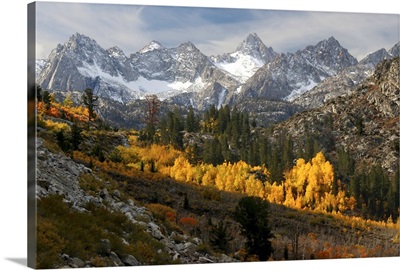 Autumn in the Sierra Nevada