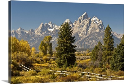 Autumn in the Tetons