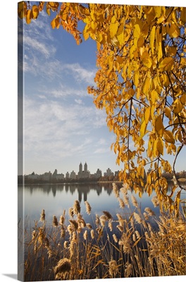 Autumn leaves at Central Park Reservoir