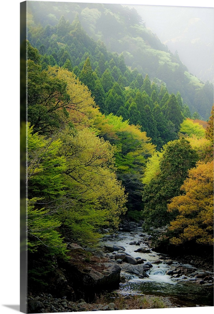 Autumn mountain with stream in Shinshiro, Japan.