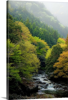 Autumn mountain with stream, Japan