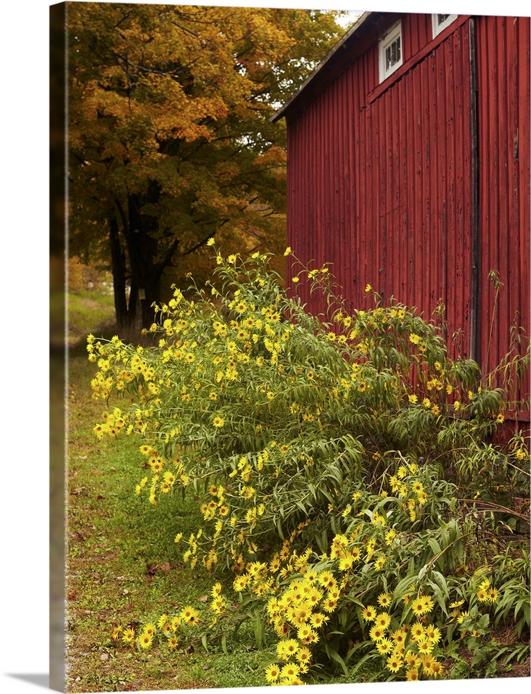 Autumn scene with red building