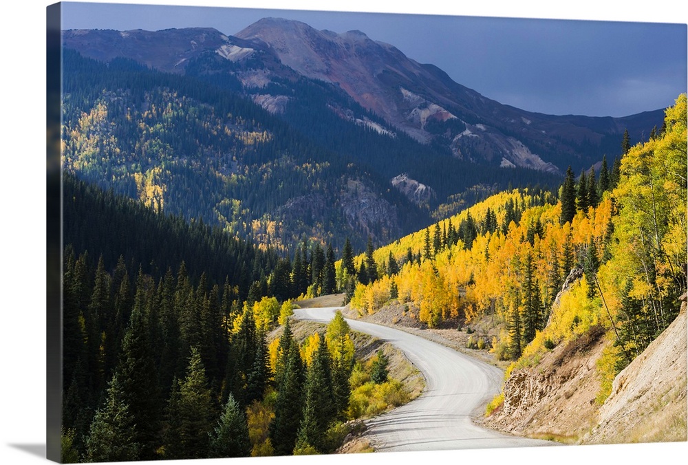 A wilderness road leading to an autumn storm that is approaching mountains with brilliant fall color aspen trees. The Colo...