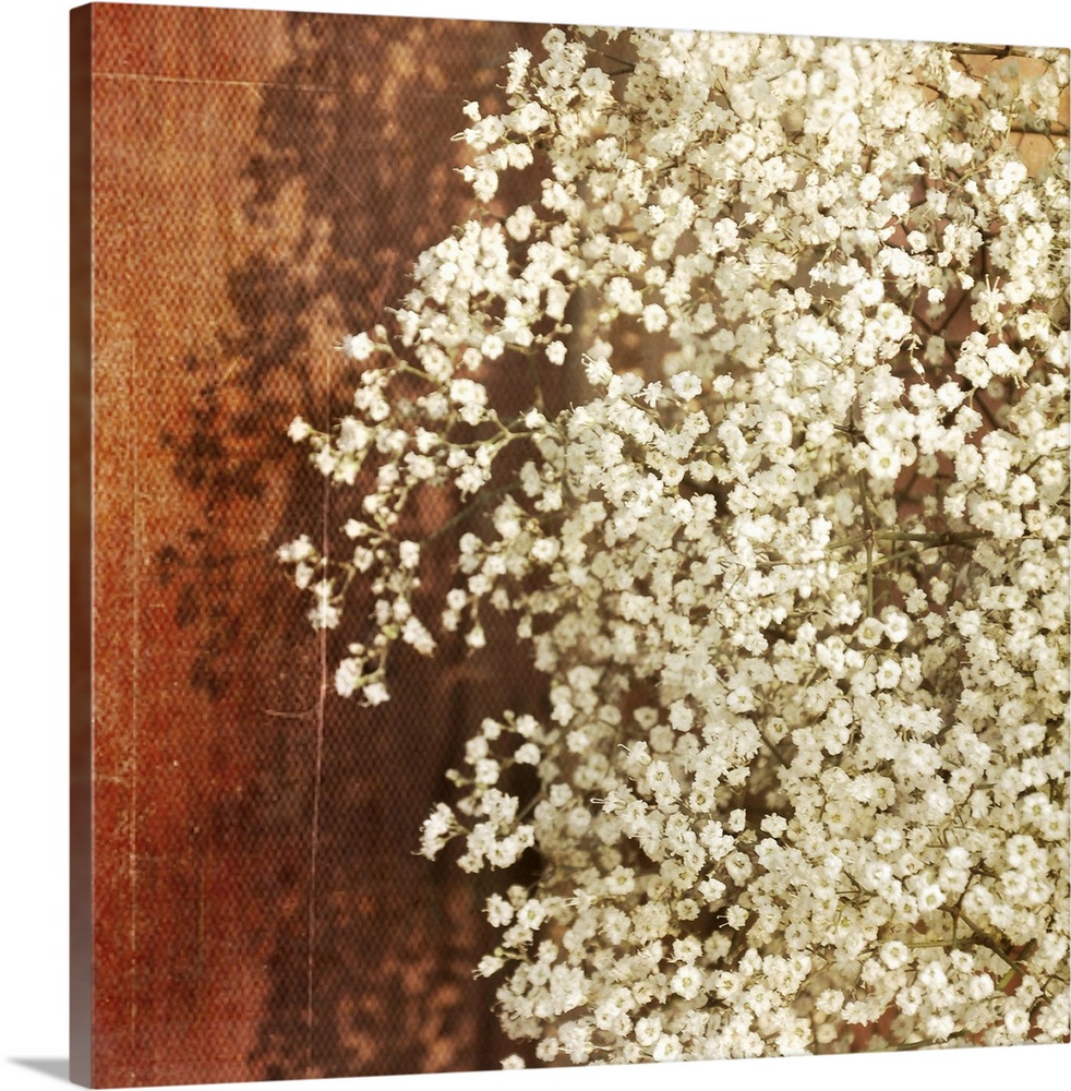 Bundle of white baby's breath blossoms against side of rustic reddish-colored barn.