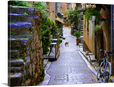 Back Alley, Provence