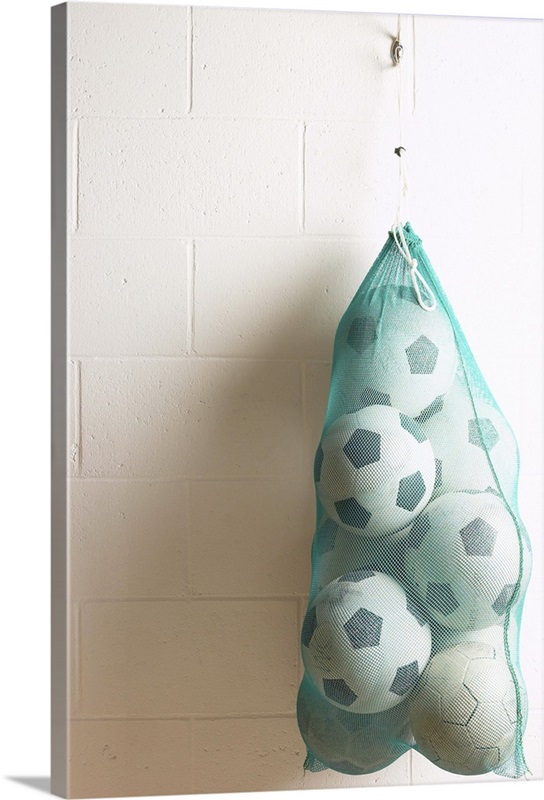 Bag of soccer balls hanging on hook Great Big Canvas