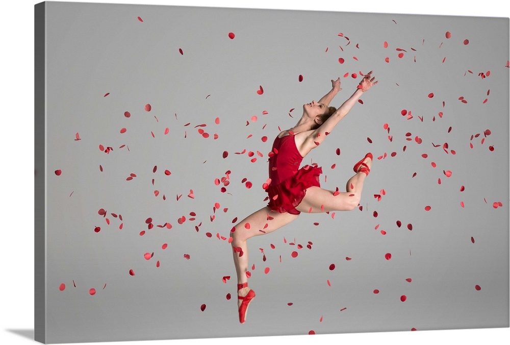 Ballet dancer happily jumping, jete, through red flower petals, in studio
