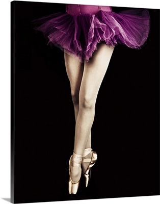 Ballerinas legs