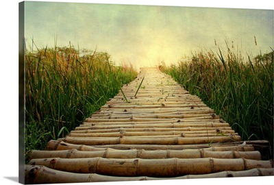 Bamboo path in grass at sunrise.