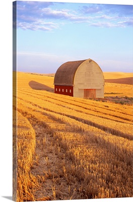 Barn In Harvested Field