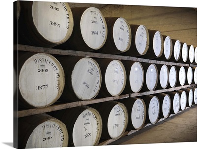 Barrels of whisky in distillery
