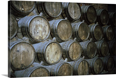 barrels of wine in winery