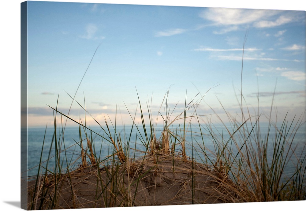 Beach grass at the top of a sand dune at Long Point Provincial Park with Lake Erie shown in the background.