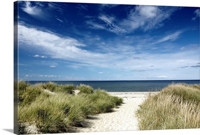 Beach, Welfleet MA