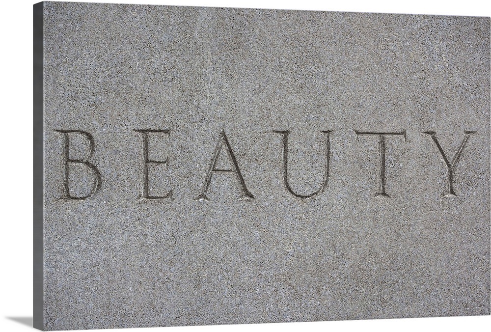 beauty etched in stone Wall Art, Canvas Prints, Framed Prints, Wall