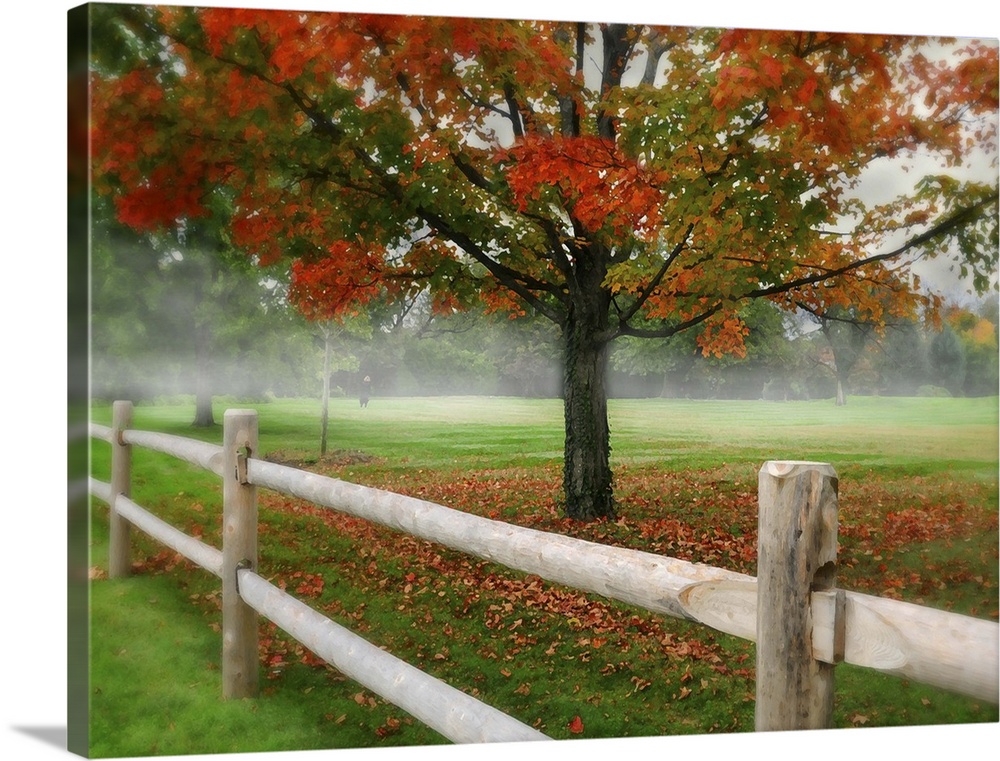 Autumn landscape of colorful tree and leaves in the fog next to wooden fence.