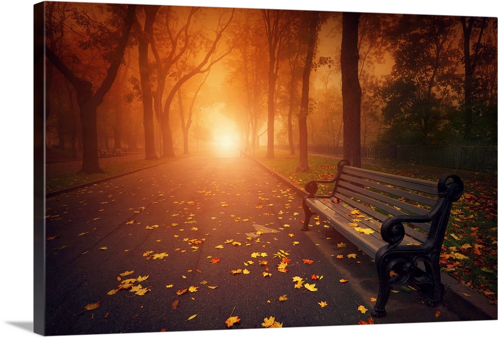 Bench in foggy autumn park and remote light in haze between the trees. On the foreground a lot of fallen leaves red and ye...