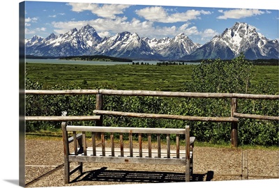 Bench in Park