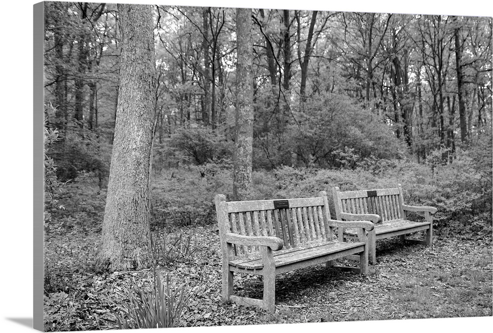 Bench in the park.Connetquot River State Park, Long Island, New York