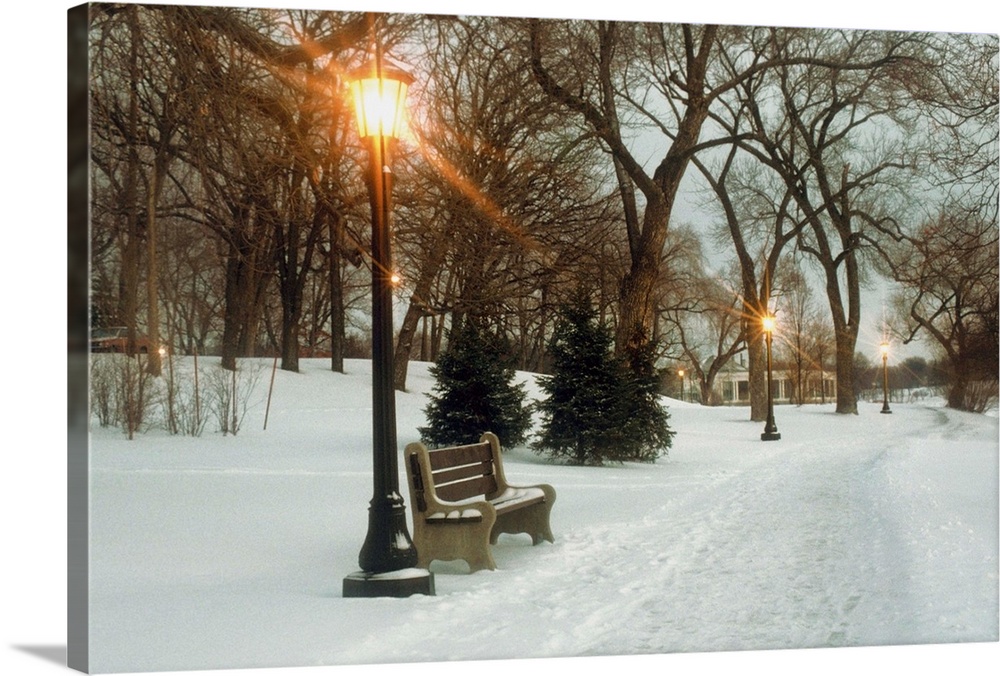 Bench with streetlamp near snow-covered road, Lake Como Park, Saint Paul, Minnesota, USA