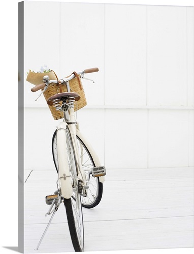 bicycle canvas wall art