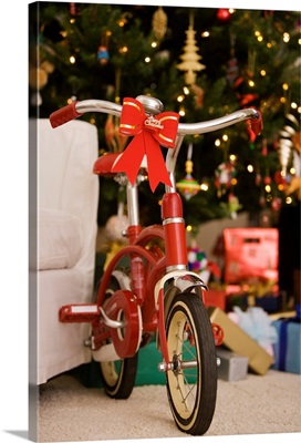 Bicycle by Christmas tree