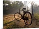 image thumbnail of Bicycle, Kerala, India