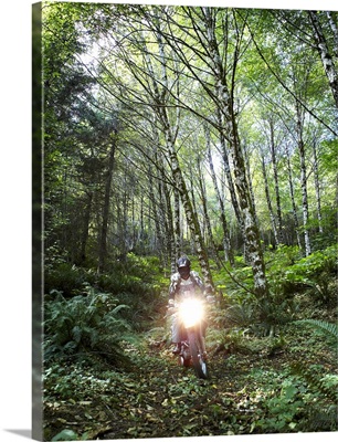 Biker riding through forest with headlight