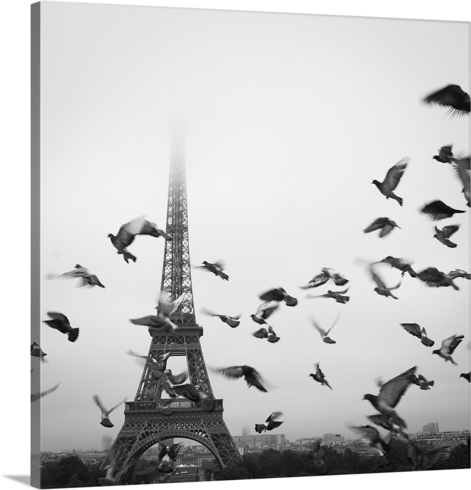 Birds fly in front of the Eiffel Tower on a foggy, misty day in Paris, France