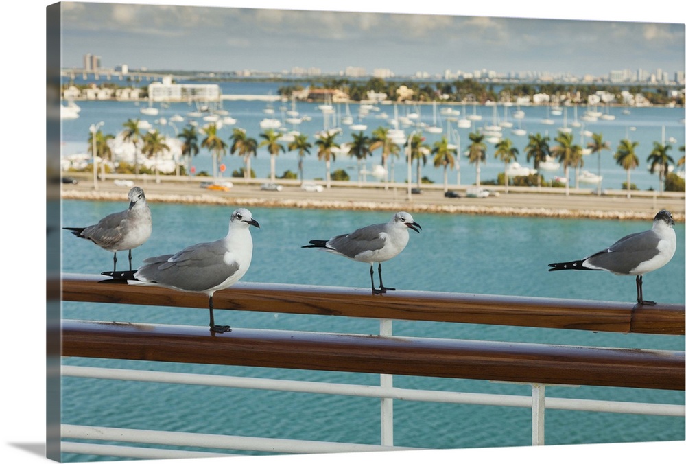 Biscayne Bay seen from cruise ship's deck