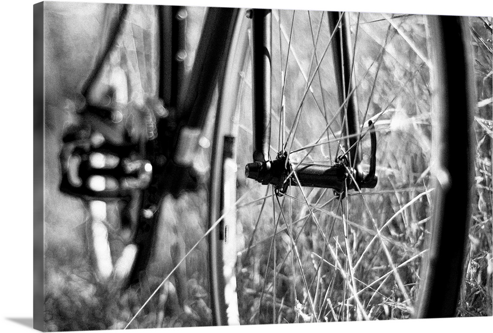Black & White bike wheel with rough and ready depth of field.