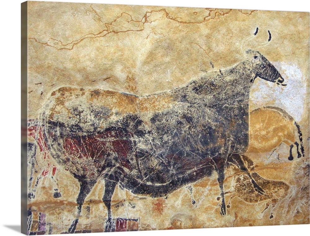 Paleolithic cave painting of a bull from the cave of Grande Vache Noire.