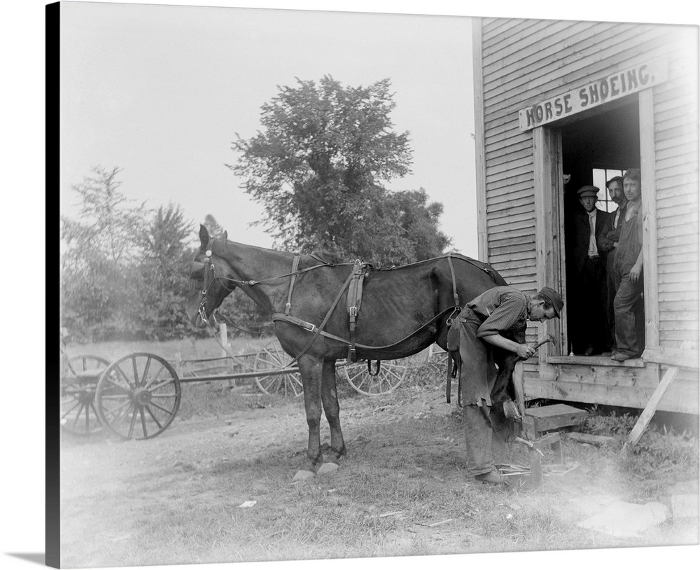 Blacksmith shoeing a horse, Amherst, Massachusetts.