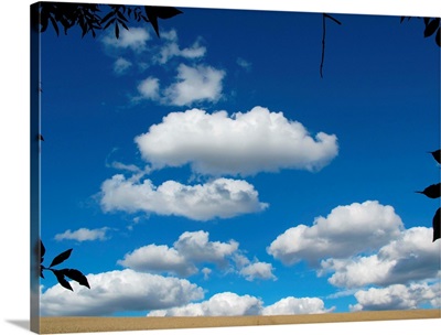 Blue cloudy sky over field