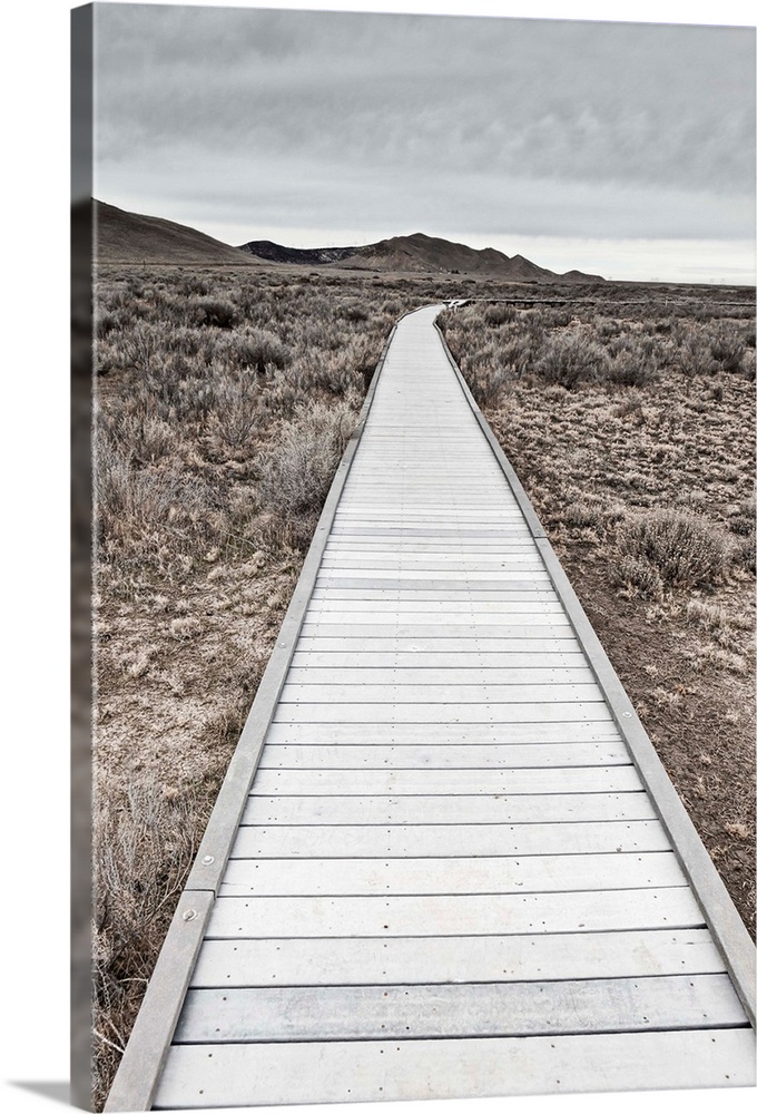 Boardwalk Through The Desert