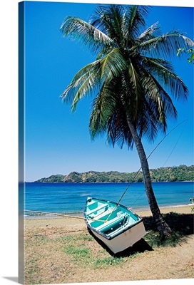 Boat and palm tree, Tobago, Caribbean