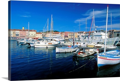 Boats anchored at a harbor, Saint Tropez, French Riviera, France
