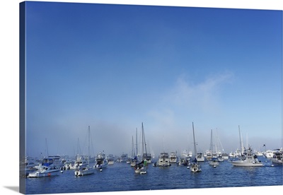 Boats in mist, Catalina Harbor