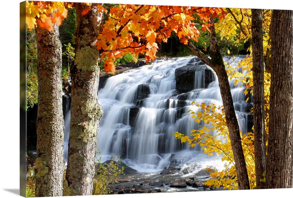 Horizontal, photograph on a giant canvas of Bond Falls in Paulding, Michigan, cascading over rocks.  Trees with fall folia...