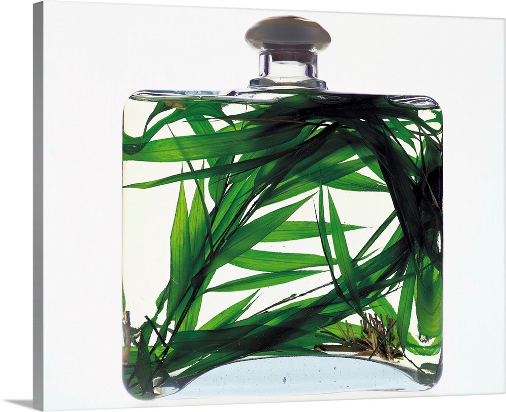 Bottle containing grass and liquid