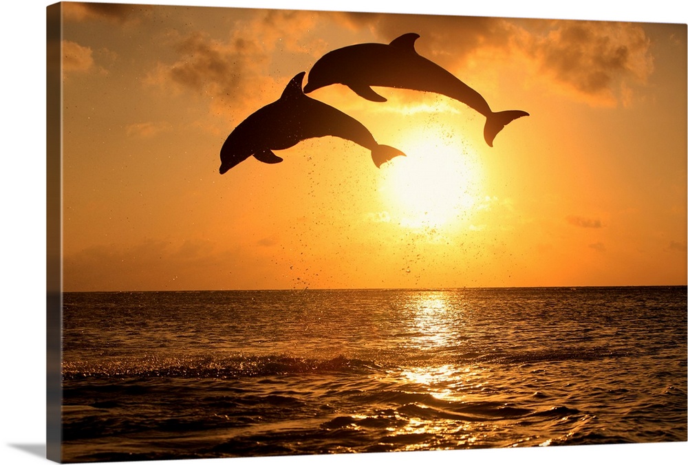 Decorative artwork for a beach home with two dolphins jumping out of water and over the sun setting in the background.