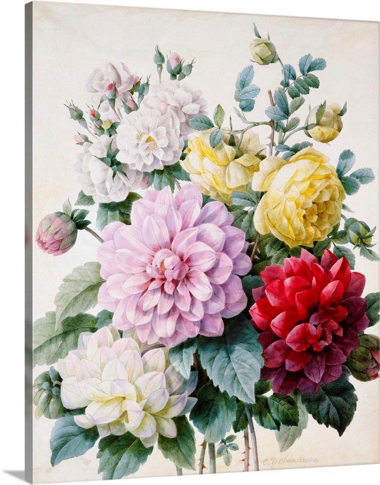 Bouquet Of Dahlias And Roses By Camille De Chantereine Solid-Faced Canvas  Print